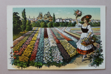 Ansichtskarte AK Gruß aus der Blumenstadt Erfurt 1904-1910 Frau Blumenverkäuferin Ortsansicht Architektur Thüringen